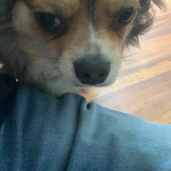 Meet your Posher, Janice - Picture 6 of 14